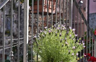 Casa Vacanze Tra I Monti e San Martino - Foto 27