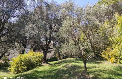 Apartment Fragonard with heated pool and large private terrace - Foto 49