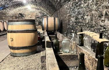 Maison élégante à Meursault avec jardin clos et cheminée - Foto 18