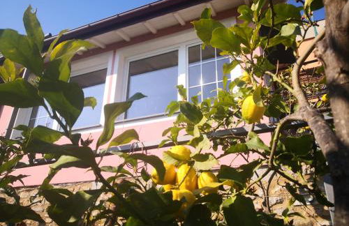 Florinda Lemon's Suite - Foto 37