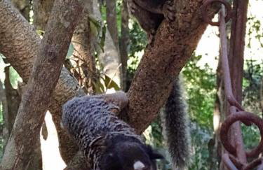 Chácara Chiafarelli - Photo 28