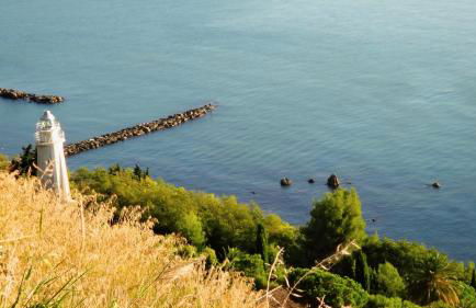 CONTEA DEI CILIEGI (official) - Foto 11