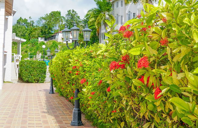 Mira Bay Apartments - Foto 28