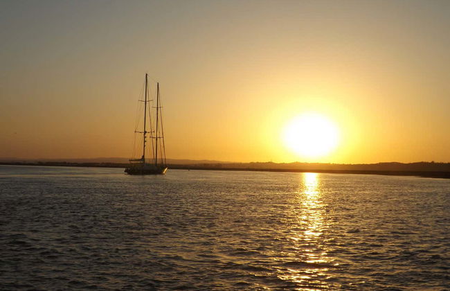 Paseo en barco por la ría de Isla Cristina - Foto 8
