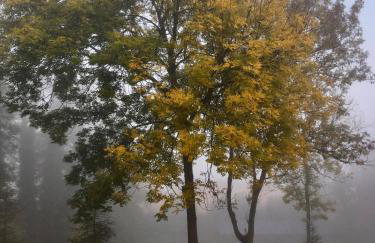 Domek na wsi Mokosz - Photo 26