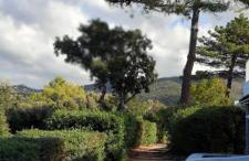 Camélia Plein Soleil Bord de Plage - Photo 20