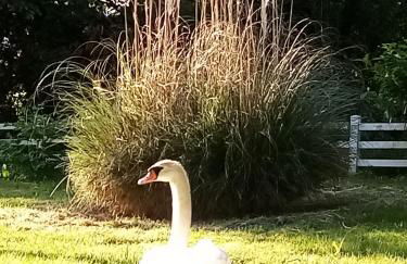 PETIT APPARTEMENT 30M2, 3 lits, de 1 à 4 pers - Foto 38