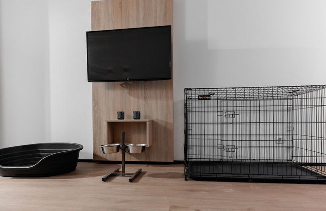 Lodge in Schaijk With Enclosed Garden - Photo 4