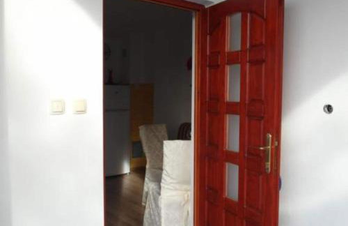 One Bedroom apartment with Terrace - Photo 12