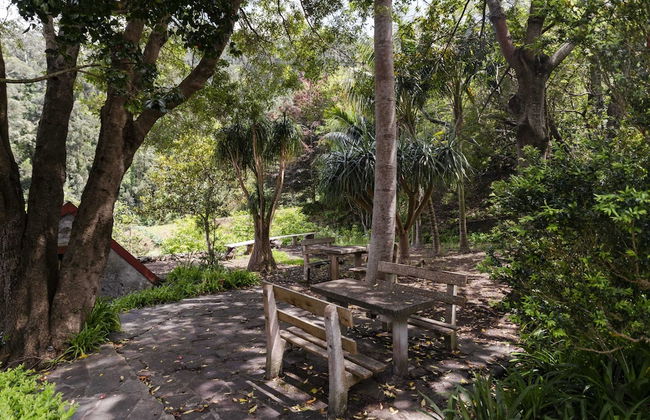 In Laurissilva Forest, Casa do Lanço -carvalho - Foto 62