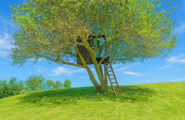 Villa Il Castagno - Foto 74