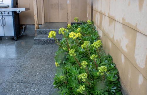 Private Home - #RedwoodSkyWalkRetreat - 5BD, Pro Pool Table, BBQ, Foosball, Darts, Fireplace, Movie Projector, Stereo, Cotton Bedding - Foto 48