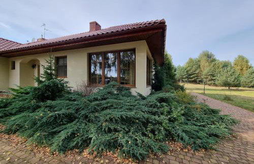 Zacisze Jurajskie - Foto 38