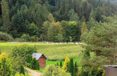 Pokoje i apartamenty u Sabiny - DOSTĘP DO JACUZZI TYLKO W WYBRANYCH OPCJACH sprawdź poniżej szczegóły rezerwacji - Photo 28
