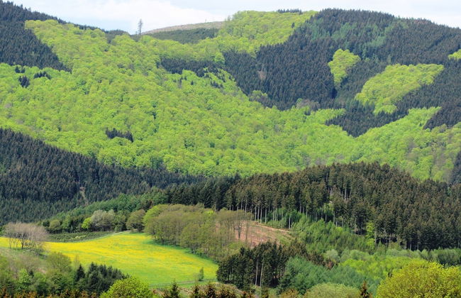 Serene Villa in Kstelberg near Lake & Watersports - Photo 35