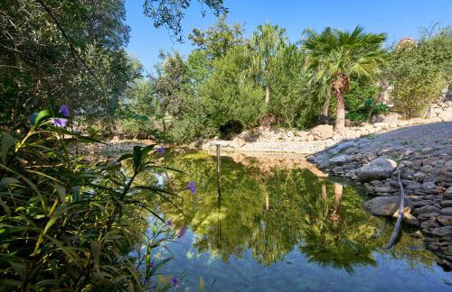 Quiet Villa in Buger with amazing pool, paddle court and nice garden - Foto 52