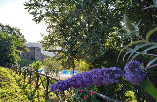 Selvadonica - Foto 1