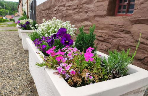 Ferienhaus Blaue Blume mit 11 kW Ladestation, Kamin, Terrasse, eingezäuntem Garten, Sauna, WLAN, Netflix, 2 Hunde willkommen! - Foto 55