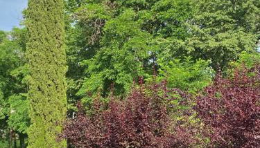 La Foresteria - Photo 4