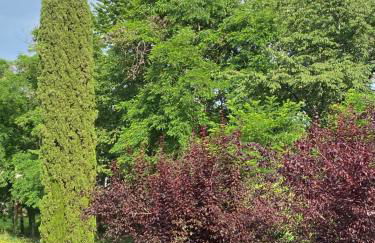 La Foresteria - Foto 4