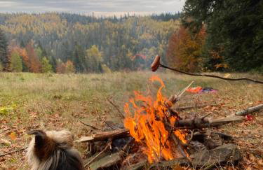 Apartament w górach Gorce - Foto 31