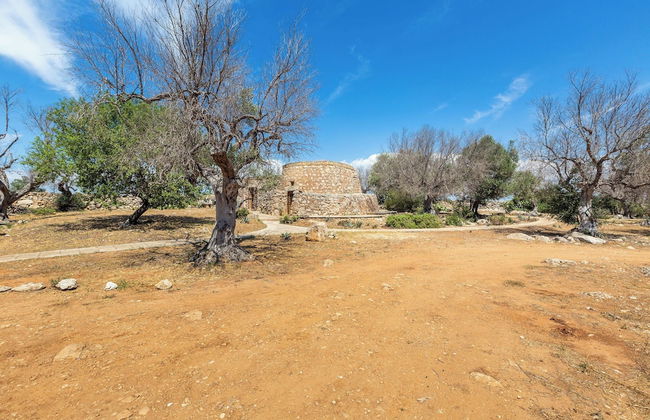 3621 Tenuta Terra del Sole by Perle di Puglia - Foto 27