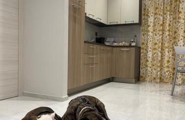 C&C Apartment - Photo 8