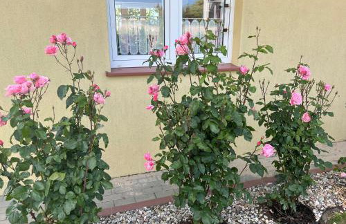 A&R Rewa Apartament - Foto 5