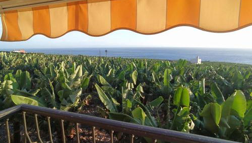 Trébol "trail Mountain La Palma" Vistas Al Mar - Foto 3