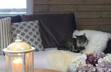 Kruszkanawierzbie - Foto 50