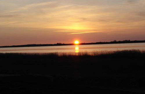 Ferienhaus Boddenblick und Kranich - Photo 32