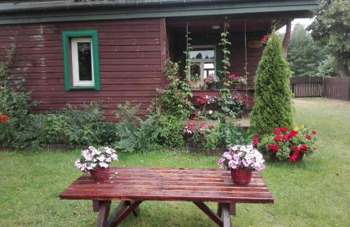 Dom na skraju Puszczy Białowieskiej - Foto 5