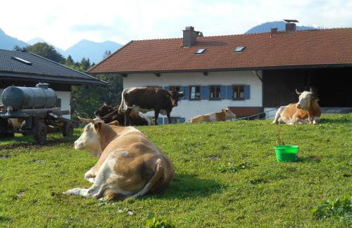 Matheishof inkl. Chiemgaukarte - Foto 11