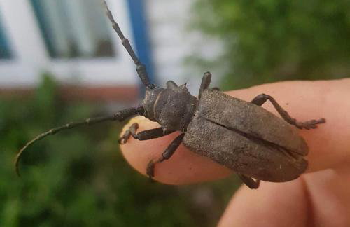 Uroczysko Deresze - Foto 74