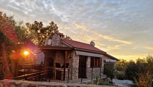 Villa Rossi - Photo 5