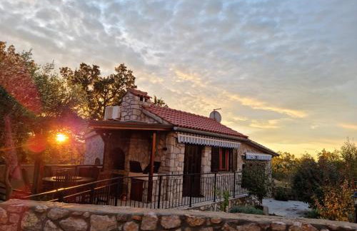 Villa Rossi - Photo 5