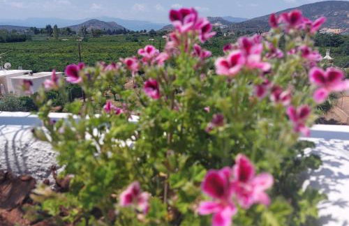 Villa Plaka 16 - 'The Roof' - Drepano, Nafplio - Foto 9