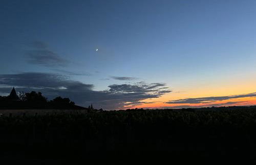 Vineyard Cabins at Château Puynard - Foto 30