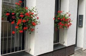 City Nowa 1 - Foto 61