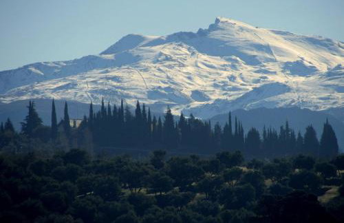 Apartamento El Tinao - Foto 3