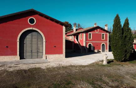 Cantina D'Erasmo - Camere e Degustazioni - Foto 4