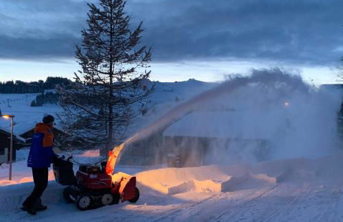 APPARTEMENT PLEIN SUD AUX SAISIES N°6 - Foto 23