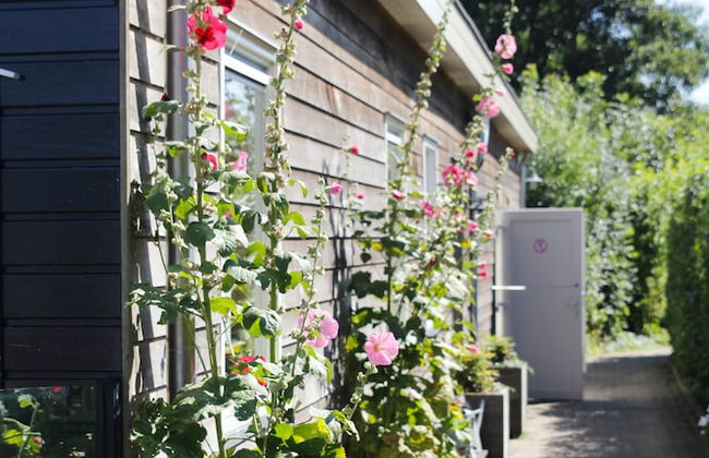 Recreatiebedrijf De Koevoet - Photo 55