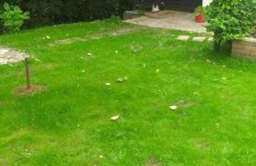 4 Bed-2 Bath-Bar-Pool Table-Library- Xmas venue - Photo 65