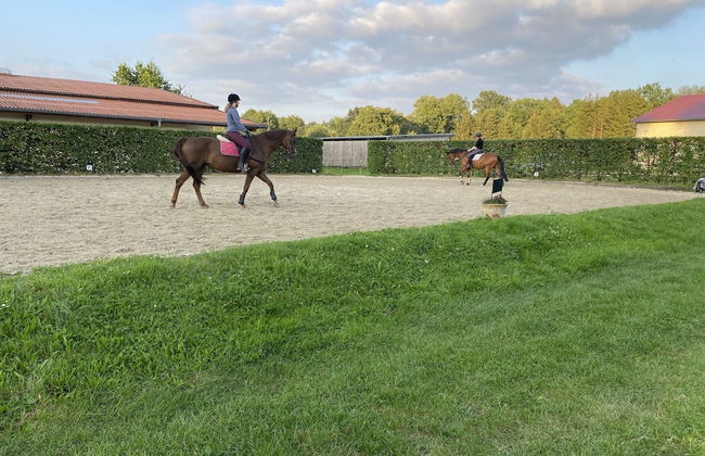 Gemutliche Unterkunfte auf dem Reiterhof in Eschede - Foto 69