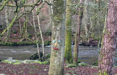 La petite vallée - Photo 33