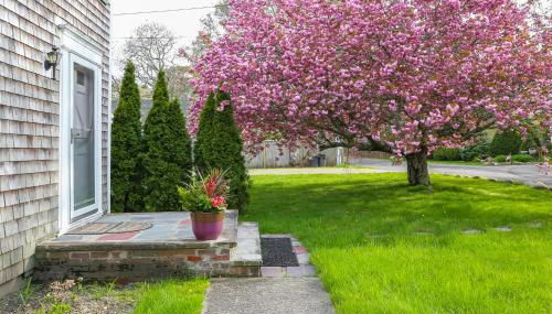 Island Sanctuary - Foto 2