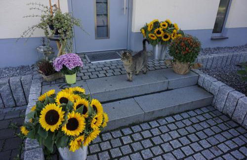 Rieslingstube bei Britta & Joachim - Foto 34