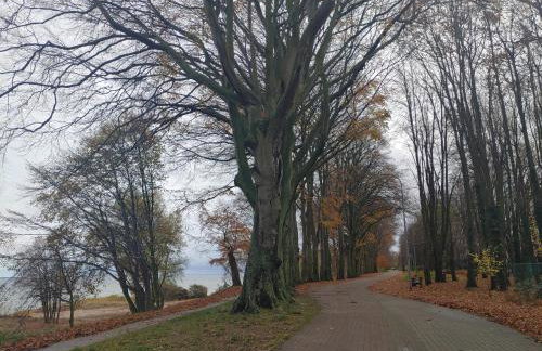 Apartament DELFIN - Photo 43