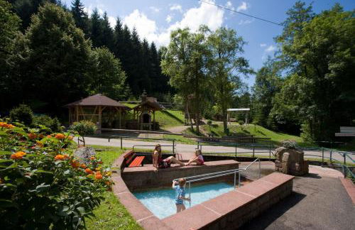 Ferienwohnungen Golla-lang - Foto 10